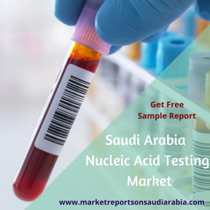Nucleic Acid Testing Market